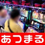 bingo slot dream casino free spin [Informasi pertanian naga] Ishigaki bergerak di keranjang bola besar sayap kiri